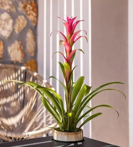 Casa Di Marillia * Архангелос